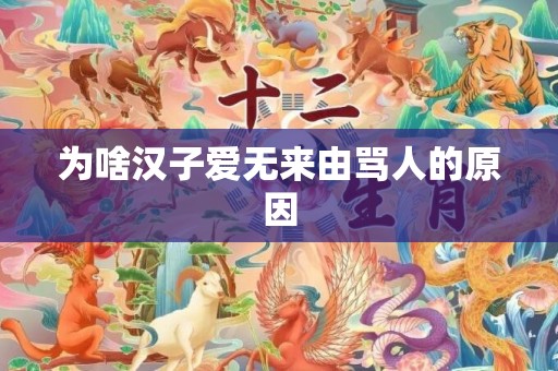 为啥汉子爱无来由骂人的原因