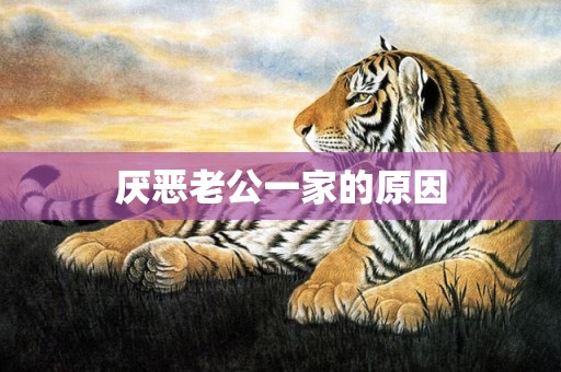 厌恶老公一家的原因