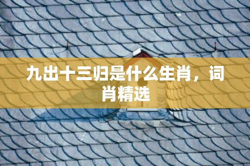 九出十三归是什么生肖，词肖精选