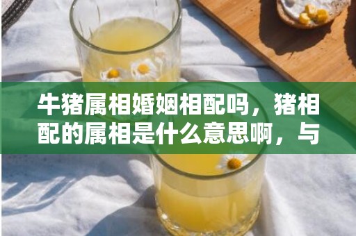牛猪属相婚姻相配吗，猪相配的属相是什么意思啊，与猪不合的属相