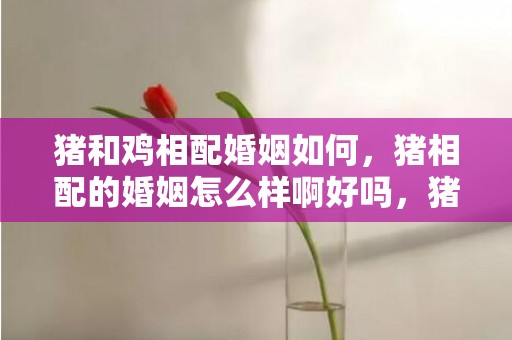 猪和鸡相配婚姻如何，猪相配的婚姻怎么样啊好吗，猪与猪相配婚姻如何