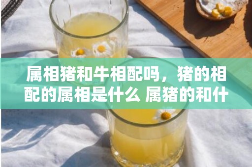 属相猪和牛相配吗，猪的相配的属相是什么 属猪的和什么属相最合得来