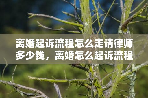 离婚起诉流程怎么走请律师多少钱，离婚怎么起诉流程最快