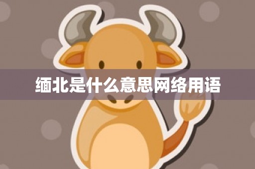 缅北是什么意思网络用语
