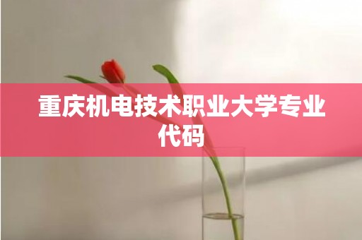 重庆机电技术职业大学专业代码