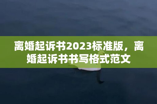 离婚起诉书2023标准版，离婚起诉书书写格式范文