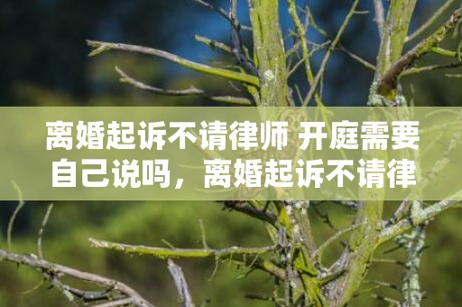 离婚起诉不请律师 开庭需要自己说吗，离婚起诉不请律师 自己怎么操作呢