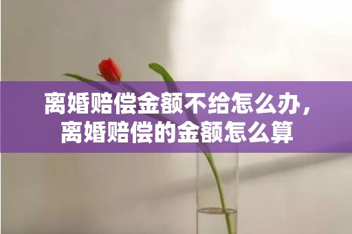离婚赔偿金额不给怎么办，离婚赔偿的金额怎么算