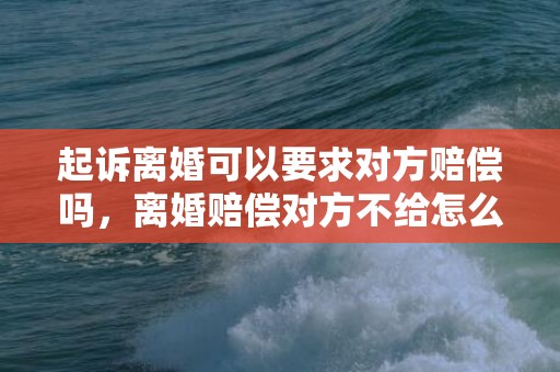起诉离婚可以要求对方赔偿吗，离婚赔偿对方不给怎么办手续