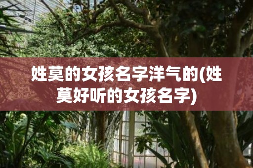 姓莫的女孩名字洋气的(姓莫好听的女孩名字)