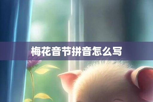 梅花音节拼音怎么写