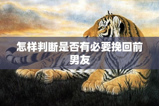 怎样判断是否有必要挽回前男友