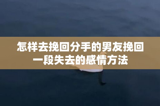 怎样去挽回分手的男友挽回一段失去的感情方法