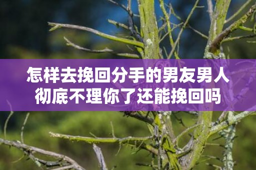 怎样去挽回分手的男友男人彻底不理你了还能挽回吗