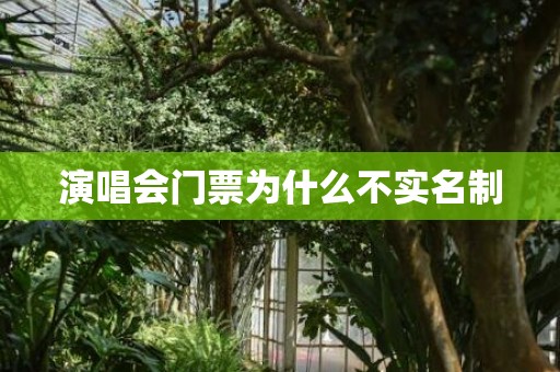 演唱会门票为什么不实名制