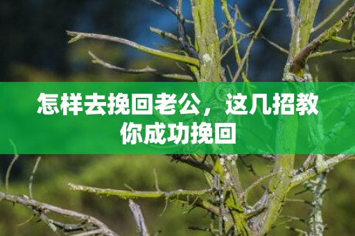 怎样去挽回老公，这几招教你成功挽回