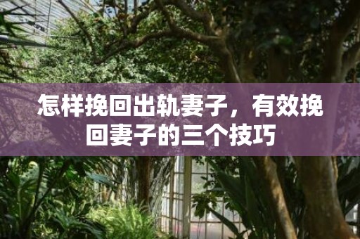 怎样挽回出轨妻子，有效挽回妻子的三个技巧