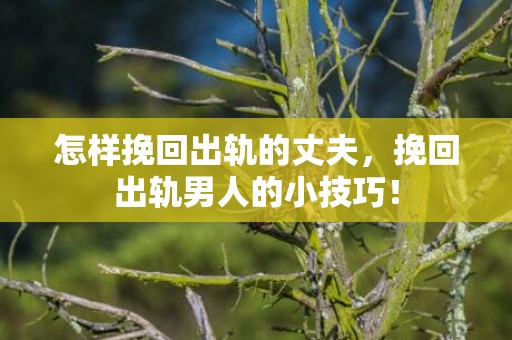怎样挽回出轨的丈夫，挽回出轨男人的小技巧！