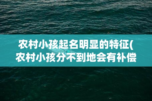 农村小孩起名明显的特征(农村小孩分不到地会有补偿吗)
