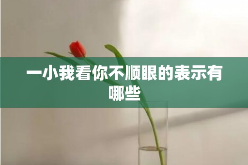 一小我看你不顺眼的表示有哪些