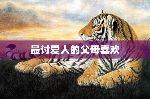 最讨爱人的父母喜欢