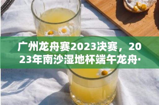广州龙舟赛2023决赛，2023年南沙湿地杯端午龙舟·农艇邀请赛