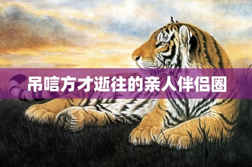 吊唁方才逝往的亲人伴侣圈