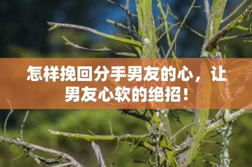怎样挽回分手男友的心，让男友心软的绝招！