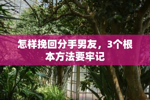 怎样挽回分手男友，3个根本方法要牢记