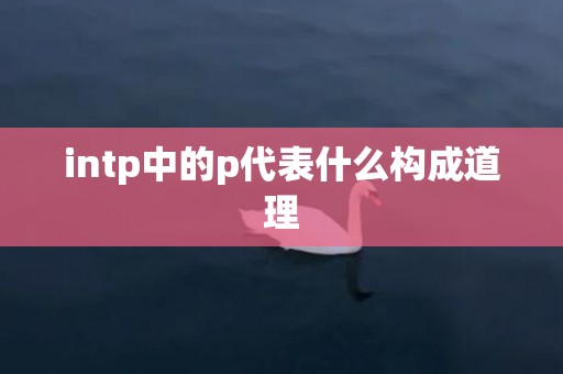 intp中的p代表什么构成道理