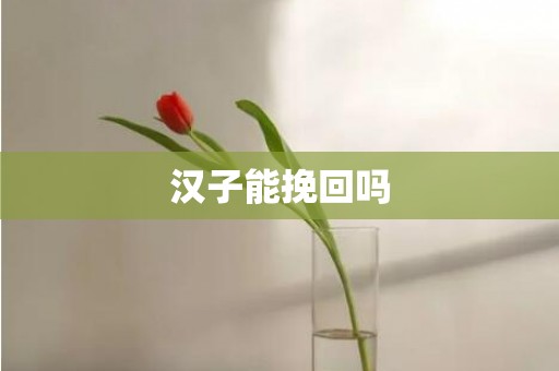 汉子能挽回吗