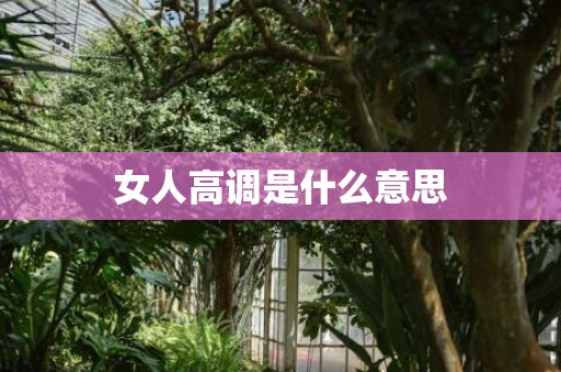 女人高调是什么意思