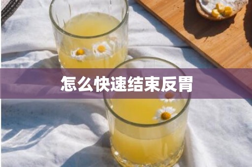 怎么快速结束反胃