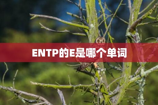 ENTP的E是哪个单词