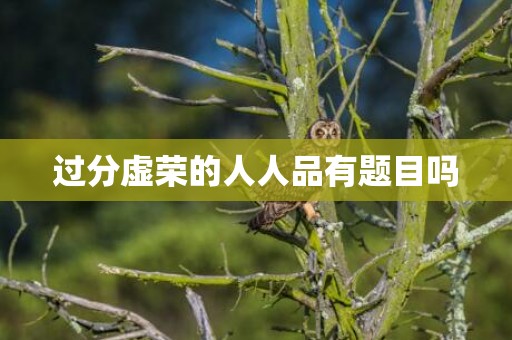 过分虚荣的人人品有题目吗