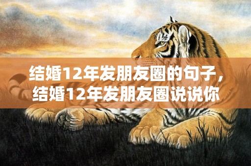 结婚12年发朋友圈的句子，结婚12年发朋友圈说说你宠我怎么回复她