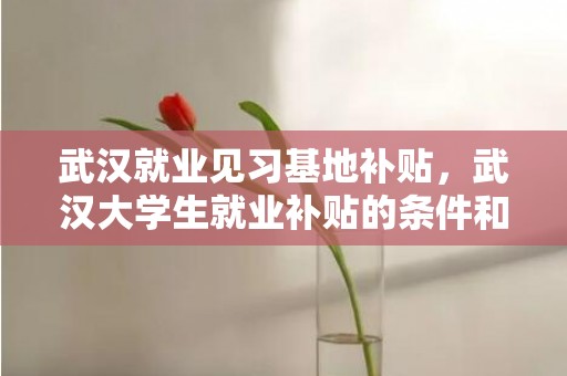 武汉就业见习基地补贴，武汉大学生就业补贴的条件和办理流程