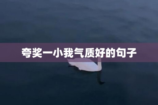 夸奖一小我气质好的句子