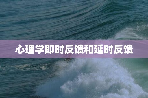 心理学即时反馈和延时反馈