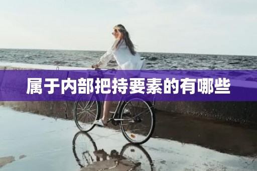 属于内部把持要素的有哪些