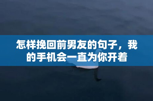 怎样挽回前男友的句子，我的手机会一直为你开着