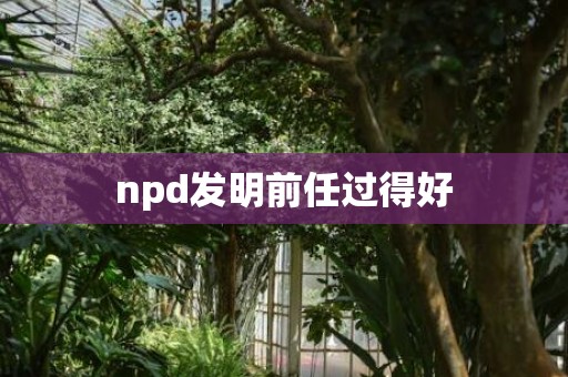 npd发明前任过得好
