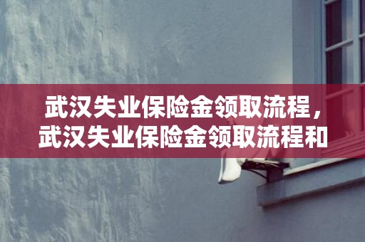 武汉失业保险金领取流程，武汉失业保险金领取流程和标准2023