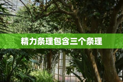 精力条理包含三个条理