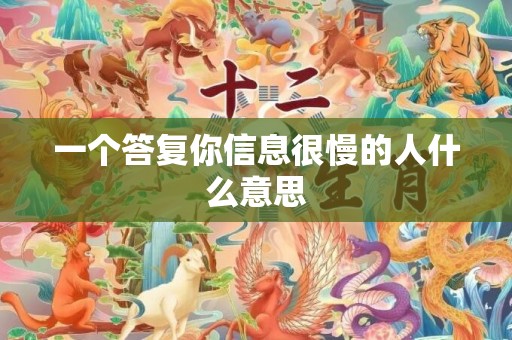一个答复你信息很慢的人什么意思