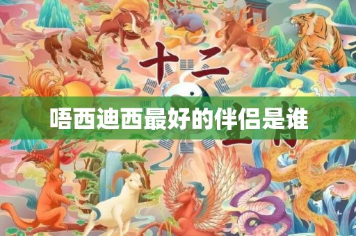 唔西迪西最好的伴侣是谁