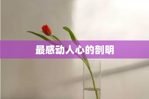 最感动人心的剖明