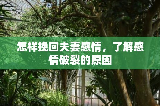 怎样挽回夫妻感情，了解感情破裂的原因
