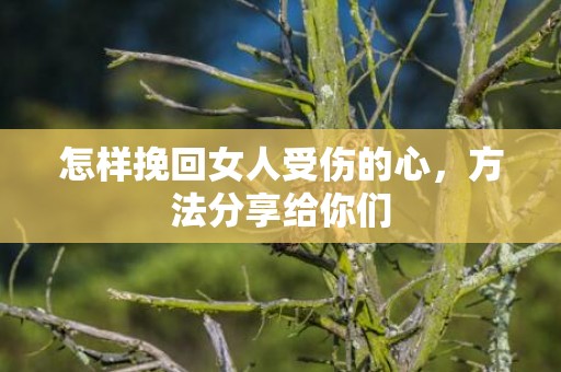 怎样挽回女人受伤的心，方法分享给你们