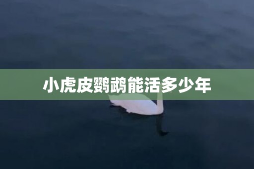 小虎皮鹦鹉能活多少年